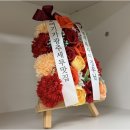 세무사이정우사무소