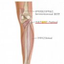 오금 이미지