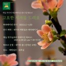 나른한책방