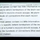 38 Human genes contain too little information even to specify which hemisphere of the brain each of a human's neurons should occupy, let alone the hun 이미지
