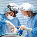 뷰-라인 이미지