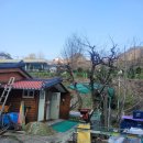 그린농원민박 이미지