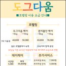 도그다움 이미지