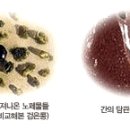 명쾌한한의원 이미지