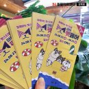 마이펫동물의료센터 이미지