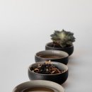 이로운한의원 이미지