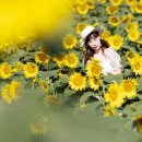 바실라 이미지