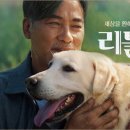 큐 (Q)사랑 이미지