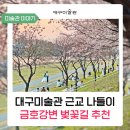 금호강변공원 화장실 | 대구미술관 근교 벚꽃 명소 추천! 금호강변 실시간 개화 현황 &amp; 봄나들이 피크닉 (위치·주차정보)