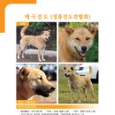김광고 이미지