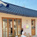 스테이 띠앗 이미지