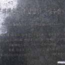 탈렌트주점 이미지
