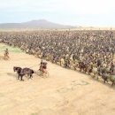 트로이짐 이미지