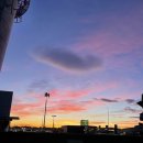 타히티모텔 | 타히티 신혼여행 Day 1 오클랜드공항에서 타히티 파아 공항 / 르 타히티 호텔