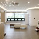 보듬 동물병원 이미지