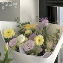 플로르연