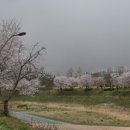 별내체육공원 이미지