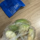 브리즈번 어학연수 일상 18