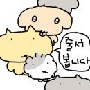 세영 여성전용사우나 이미지