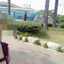 이경미농장 | [내일로] 뒤늦은 내일로 여행 후기 : ③ 순천/마산/포항편