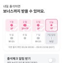 엠넷플러스 이미지