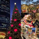 12/8 크리스마스 테라리움 | 2025년 잠실 크리스마스마켓 평일 저녁 현장 웨이팅 스노우샤워시간