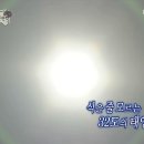 경남 밀양 애견 동반 독채 숙소 : 마당이 있는 에어비앤비 촌캉스 펜션 꽃들도