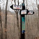의림지-03 Daum카페