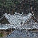 통도사 대웅전 및 금강계단 이미지