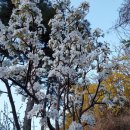 남해궁펜션 이미지