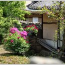 옛날그집 이미지