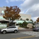 금창돼지국밥 이미지