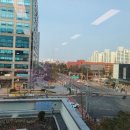 강서데시앙공인중개사사무소 이미지