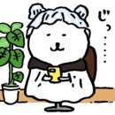 메이원