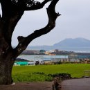 제주 올레길 15코스 B 이미지