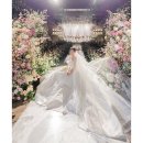 앤드핏 청담 | 결혼에 진심인 신부가 본식 마치고 쓰는 '결혼준비 후회되는 점' TOP5