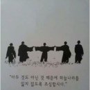 매일홍 이미지