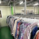 세피내길 이미지