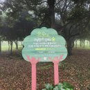 IUCN 나눔의 숲 이미지