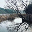 오리여행 이미지