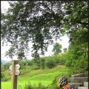 대교옻닭 이미지