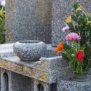 K씨의 꿈 이미지