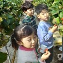 문수초교병설유치원 이미지