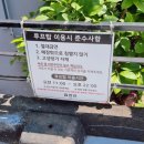 읍천리 | 대구 촌캉스할 수 있는 읍천리 382 본점 후기