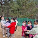 안성자연유치원 이미지