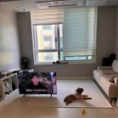 다룸 20L 자동센서 쓰레기통