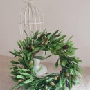 올리브조화 이미지