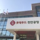 롯데푸드(주) | 히든서포터즈 16기 롯데푸드 천안공장 견학 후기! (feat. 당일생산 아이스크림)