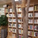 강남70플러스라운지 이미지