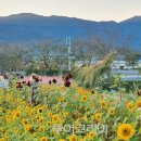 현대꽃동산